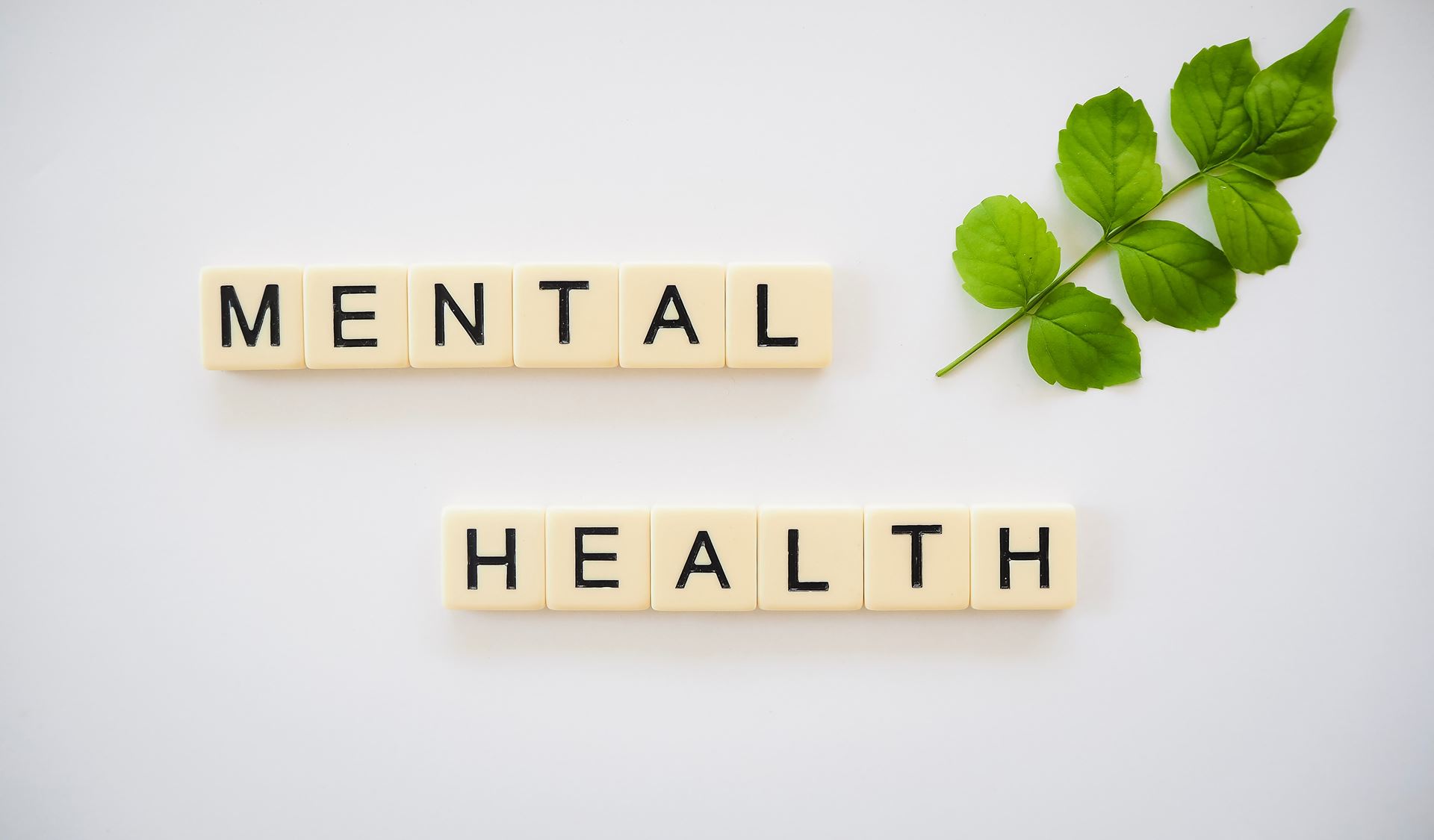 Words Mental Health