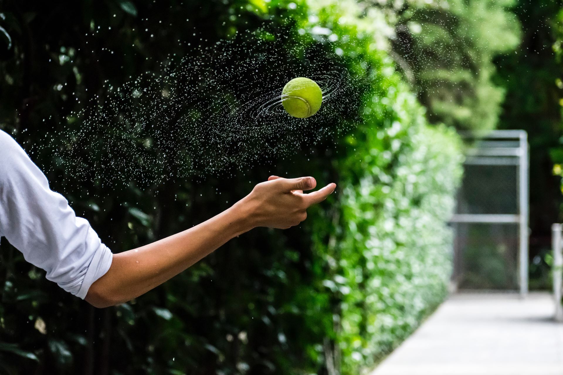 a man holding a frisbee